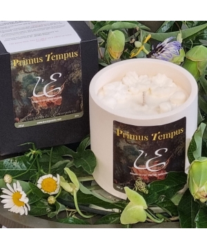 The candle Primus Tempus